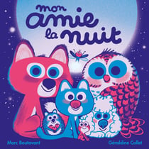 Mon amie la nuit