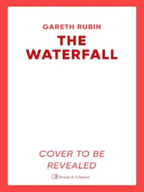 The Waterfall : A beguiling and intricate mystery from Sunday Times bestselling author Gareth Rubin