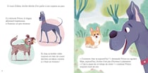 Archie, Petit corgi, grand défi