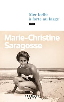 Mer belle à forte au large