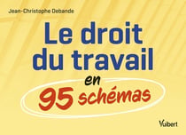 Le droit du travail en 95 schémas