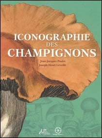 Iconographie des champignons