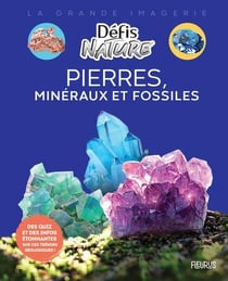 Pierres, minéraux et fossiles