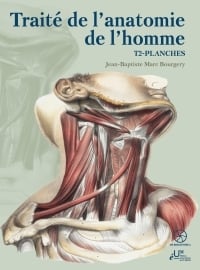 Traité de l'anatomie de l'homme Tome 2 : Planches