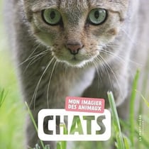 Chats : Mon imagier des animaux