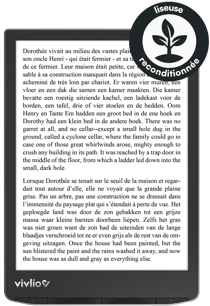 Liseuse Vivlio - InkPad 4 - reconditionnée - noir