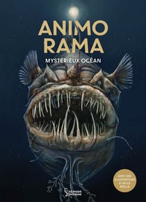 Animo rama : Mystérieux Océan