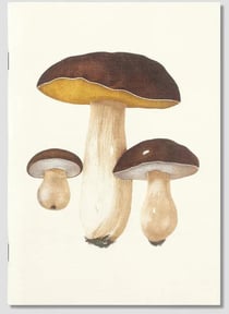 Carnet : Champignons comestibles et vénéneux