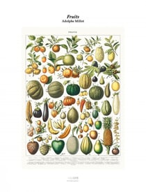 Tirage : Fruits