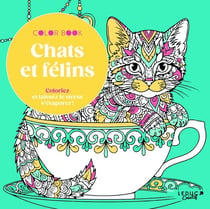 Chats et félins : Coloriez et laissez le stress s'évaporer !