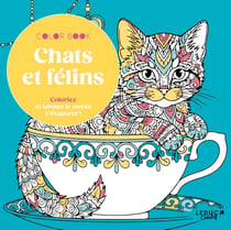 Chats et félins : Coloriez et laissez le stress s'évaporer !