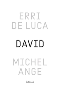 David, Michel-Ange : Enquête sur une disproportion