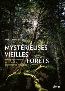 Mystérieuses vieilles forêts : Un voyage immersif au coeur des écosystèmes préservés