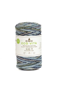Pelote de fil à tricoter - DMC - Eco Vita 4 - Multicolore 101
