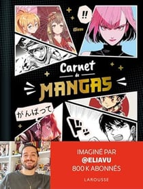 Carnet de mangas