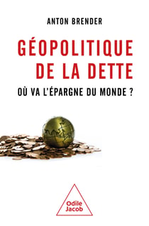 Géopolitique de la dette : Où va l'épargne du monde ?