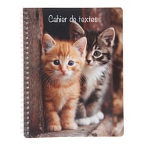 Cahier de textes à spirale 2026/2027 - Chat - 17 x 22 cm - Cultura