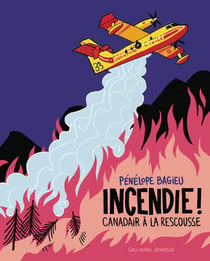 Incendie ! Canadairs à la rescousse