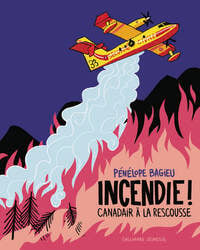 Incendie ! Canadairs à la rescousse