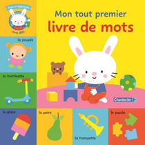 Mon tout premier livre de mots : Joue et apprends avec Billi