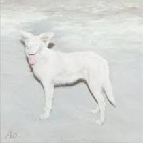 Malandra