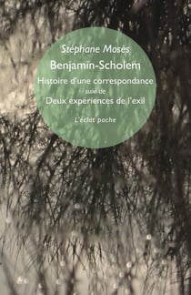 Benjamin-Scholem : Histoire d'une correspondance. Suivi de Deux expériences de l'exil