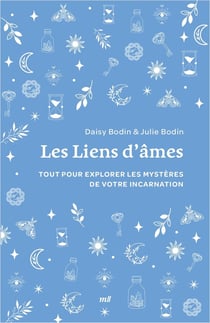 Liens d'âmes : Explorez les mystères de votre incarnation