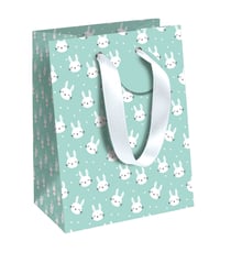Sac cadeau Clairefontaine - 21,5 x 10,2 x 25,3 cm