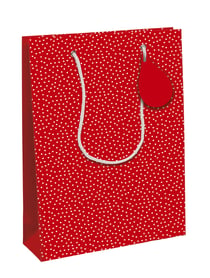 Sac cadeau Clairefontaine - Coeurs - 26,5 x 14 x 33 cm