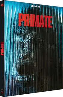Primate