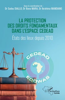 La protection des droits fondamentaux dans l'espace CEDEAO : Etats des lieux depuis 2010
