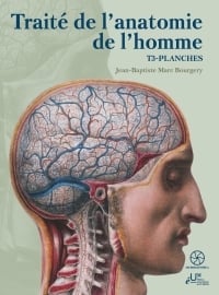 Traité de l'anatomie de l'homme Tome 3 : Planches