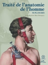 Traité de l'anatomie de l'homme Tome 6 : Planches