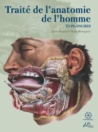 Traité de l'anatomie de l'homme Tome 5 : Planches