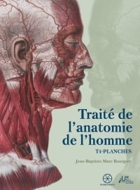 Traité de l'anatomie de l'homme Tome 4 : Planches