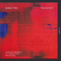 Transitory - Sheen Trio