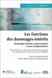 Les fonctions des dommages-intérêts : Dommages-intérêts compensatoires et non compensatoires