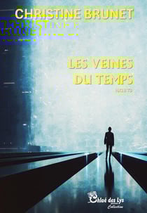 HX13 Tome 3 : Les veines du temps