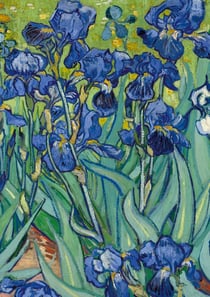 Notizbuch A5 blanko Hardcover - 100 Seiten - Motiv Schwertlilien (Irises) Vincent van Gogh - 90g/m² - FSC Papier : Notebook Journal Diary A5 blanko - Geschenkidee