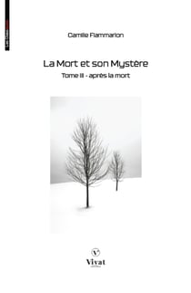 La Mort et son Mystère, tome III - Après la Mort