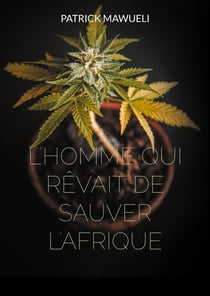 L'homme qui rêvait de sauver l'Afrique