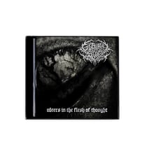 Ulcers In The Flesh of Thought