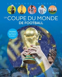 La coupe du monde de foot