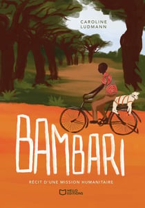 Bambari : Récit d'une mission humanitaire