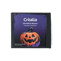 KIT CREATIF PEINTURE SUPPORT CITROUILLE HALLOWEEN
