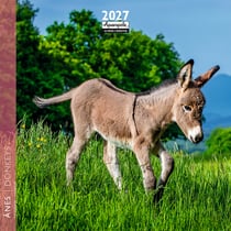 Calendrier 2027 Pictura - Anes - 16 x 16 cm