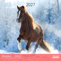 Calendrier 2027 Pictura - Chevaux - 30 x 30 cm