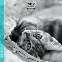 Calendrier 2027 Pictura - Chats N&B - 16 x 16 cm