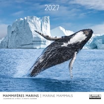 Calendrier 2027 Pictura - Mammifères marins - 30 x 30 cm