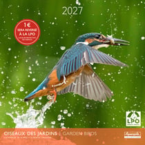 Calendrier 2027 Pictura - Oiseaux des jardins - Partenariat LPO - 30 x 30 cm